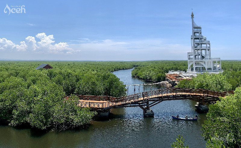 Wisata Mangrove